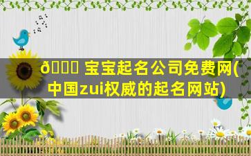 🐒 宝宝起名公司免费网(中国zui
权威的起名网站)